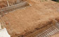 Swimming Pool Build