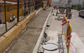 Public Pavement Construction