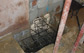 Under pinning Jobs